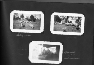 Mahler Photo Album 3054.jpg Mahler Photo Album 3054.jpg
